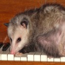 horsemouthbird avatar