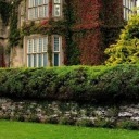 horses-and-ponies avatar