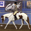 horses-are-love avatar