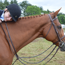 horsesandgirls avatar