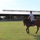 horsesandstuff avatar