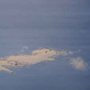 horsesforhearts avatar