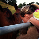 horsesneverlie avatar