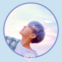 hoshistic avatar