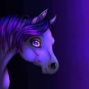 hoshizora-uma avatar