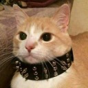 hot-cocoa1032 avatar