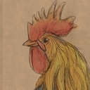 hot-topic-for-vikings avatar