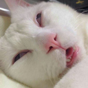 hot-toys-and-pops-galore avatar