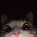 hotbelgiumwaffles avatar