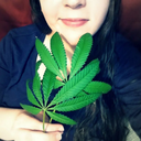 hotboxwithgod avatar