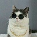 hotcheetohemoji avatar