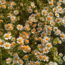 hotchnerswhore16 avatar