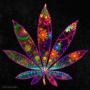 hotdamn-69 avatar