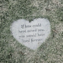 hotdiggitydone avatar