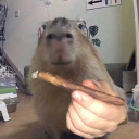 hotdogwatertea avatar