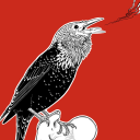 hotgarbageboots avatar