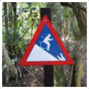 hotgarbagejuice avatar