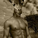 hotgiraffeaction avatar