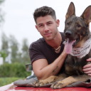 hotguysandtheirpets avatar