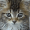 hotpotatodude122 avatar