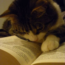 hotsauceintheebag avatar