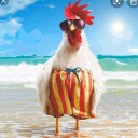 hotsauceonchicken avatar