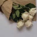 hotst0nedb1tch avatar