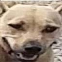 hotwetconductive avatar