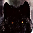 hotyanderedaddies avatar