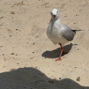 hourtohour-notetonote-no2 avatar