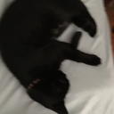 house-in-the-clouds avatar