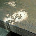 housecatscribbles avatar