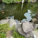 houseof-harry avatar