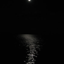 houseof-models avatar