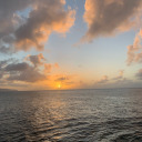 houseofcake808 avatar