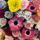 houseofstanding avatar