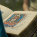 houseofthepigeon avatar