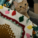 houstondashed avatar