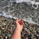 hovistounangelo avatar