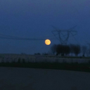 how-dandy-blog avatar