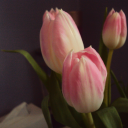 how-did-i-get-here44 avatar