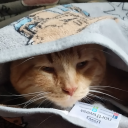 how-do-ypu-bolg avatar