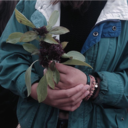 how-longhasitbeen avatar