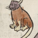 how-many-cats avatar