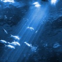 how-much-water avatar