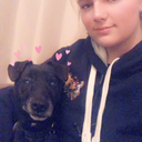 how-very-genesis avatar