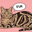 how-we-get-by avatar