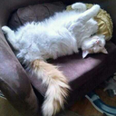 how-we-live-life avatar