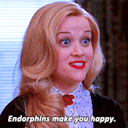 howareyourcats avatar