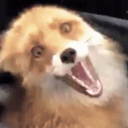 howcanibe-homophobic avatar